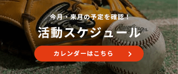 活動スケジュール