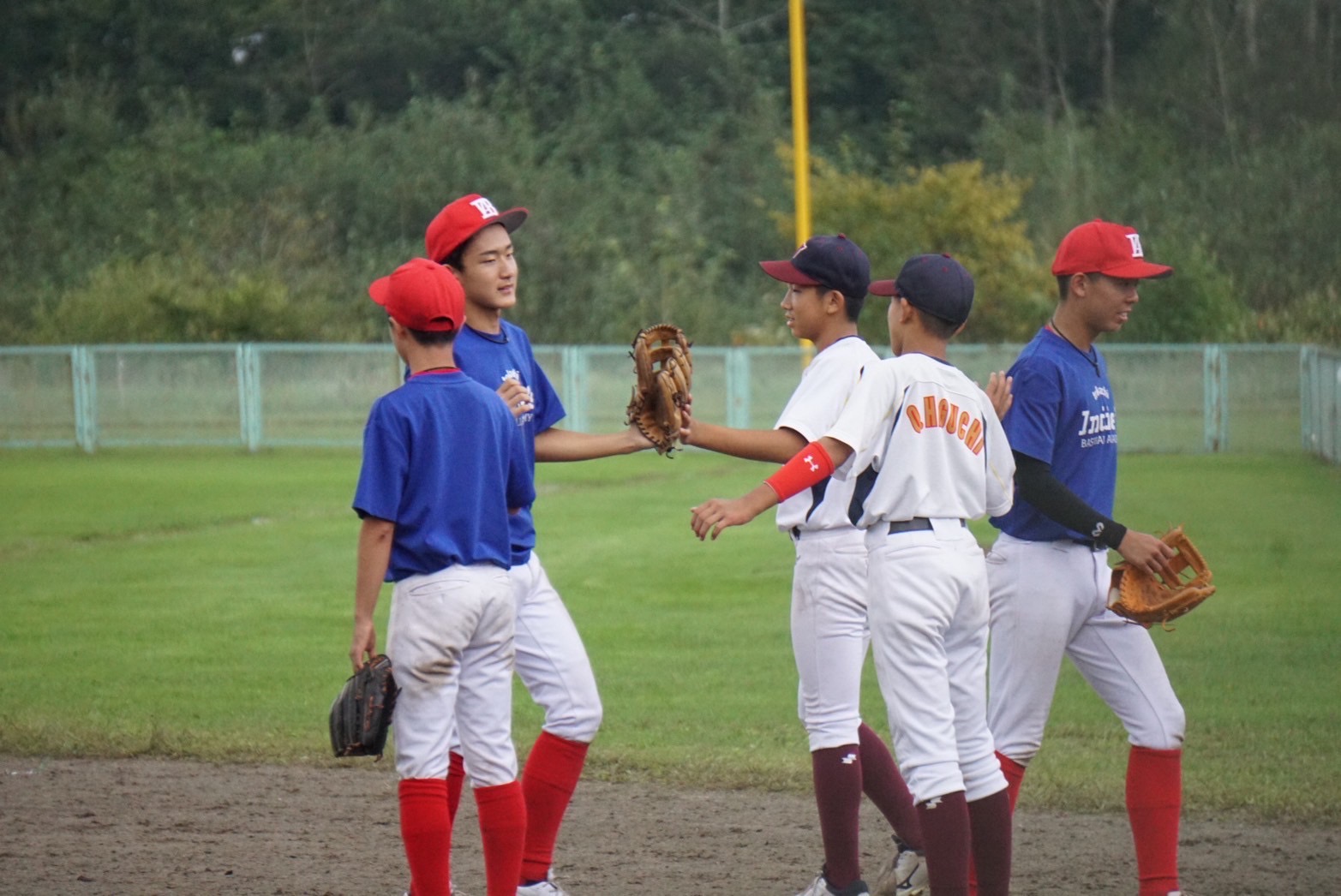 【十勝の選択】中学野球は硬式？軟式？進路を見据えた選び方を徹底解説！